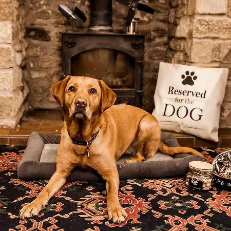 The Barn And Tearoom Gasthuis