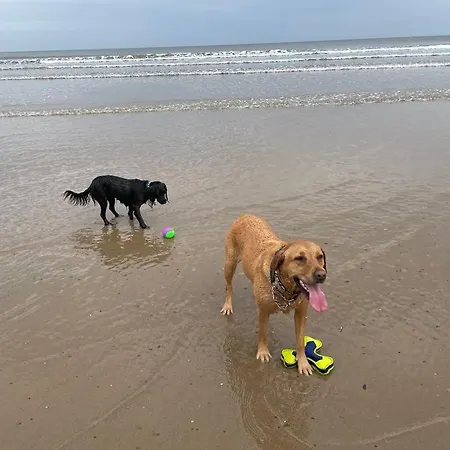 The Barn And Tearoom 3* Hutton le Hole