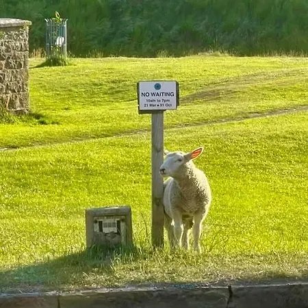 בית הארחה The Barn And Tearoom Hutton le Hole