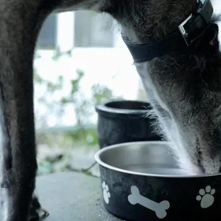 The Barn And Tearoom 3* Hutton le Hole