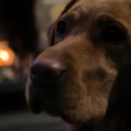 The Barn And Tearoom Hutton le Hole