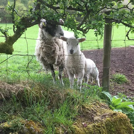 The Barn And Tearoom Hutton le Hole